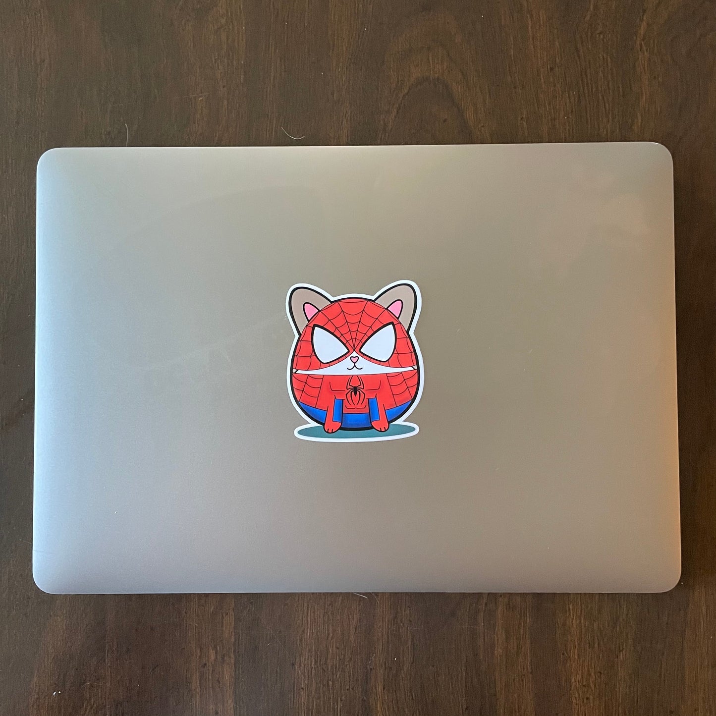 Spiderman Cosplay Cat